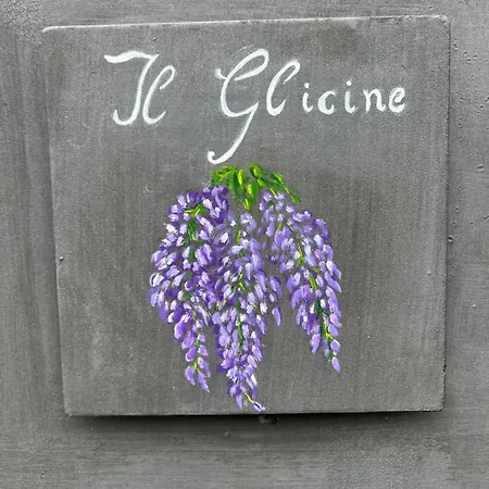 Il Glicine